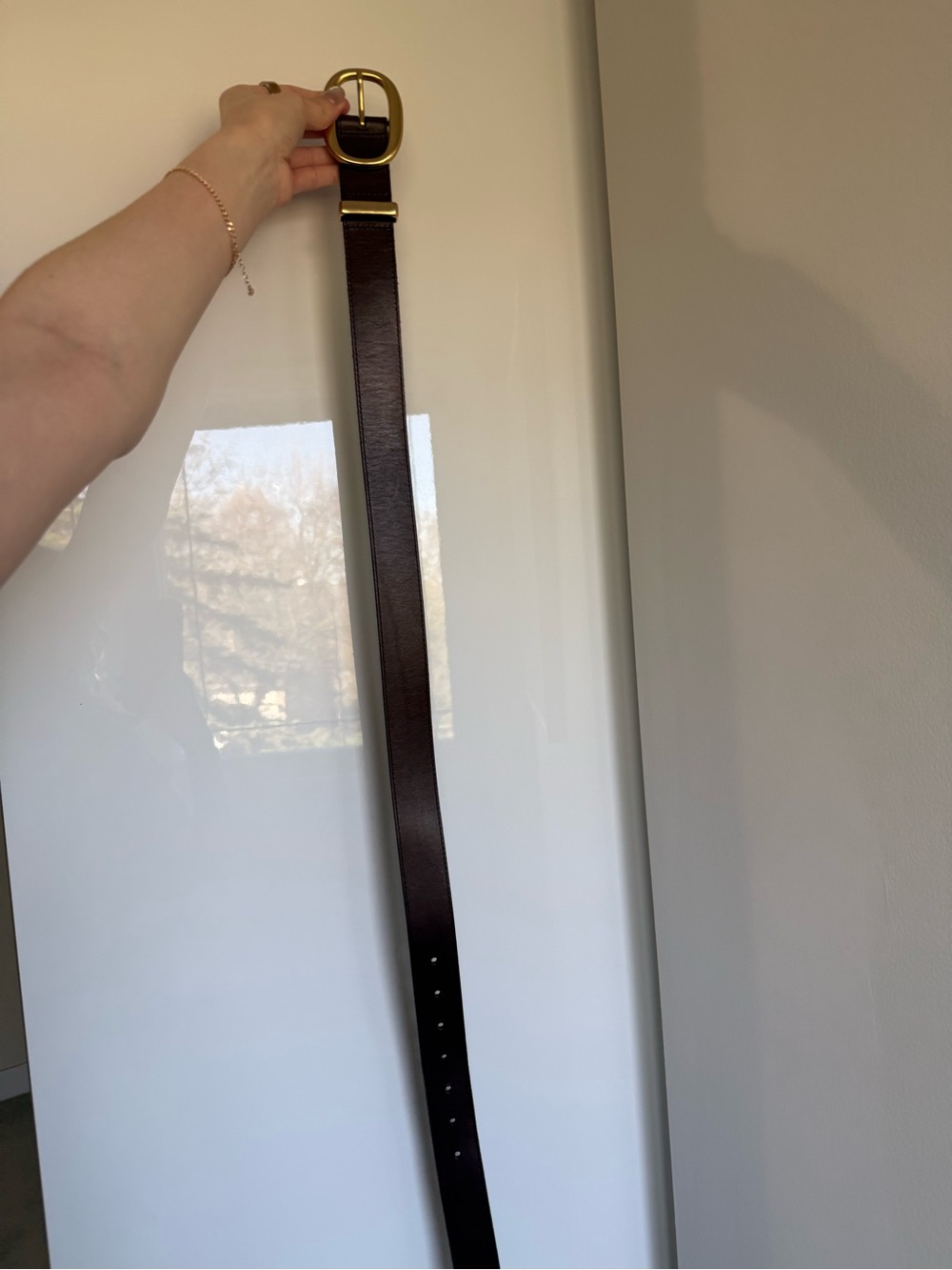 Brown/Brass Aritzia Belt - Picture 3 of 3